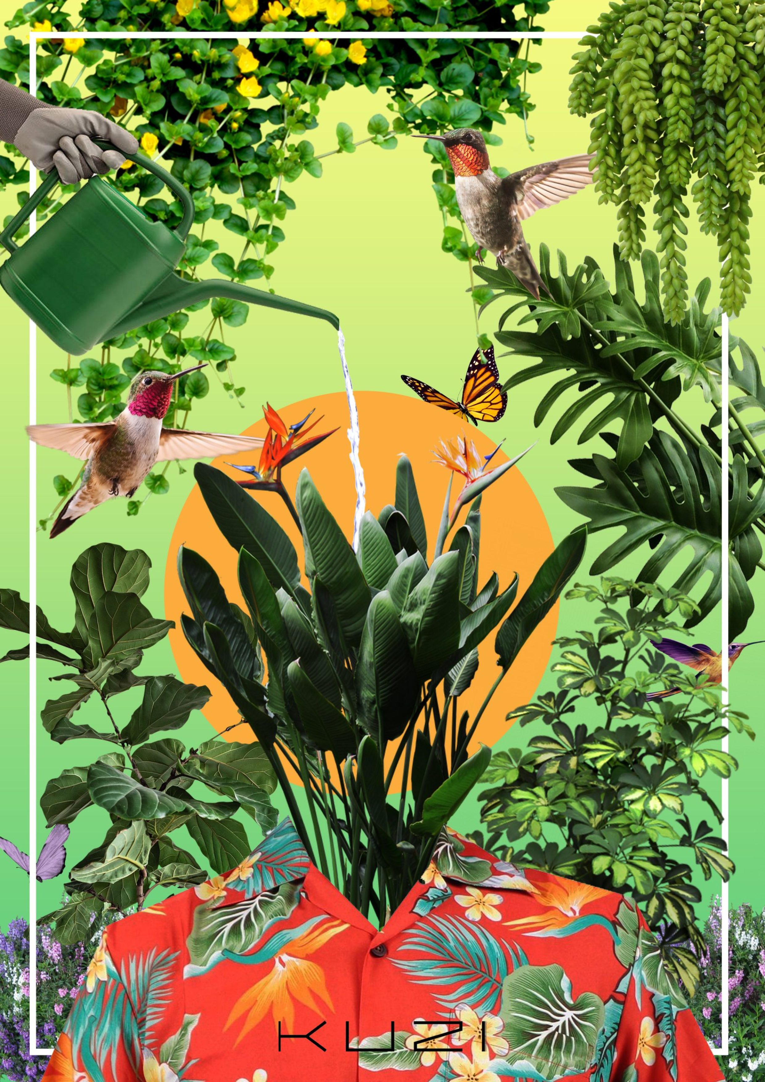 KUZI ARTWORK FINAL WITH LOGO