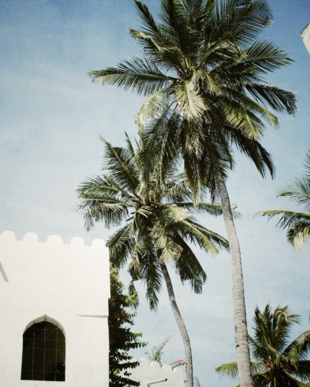 tumblr_n9z82gQtMa1twvpk0o1_540